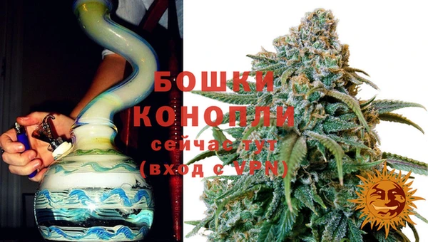 PSILOCYBIN Балабаново