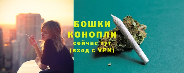 PSILOCYBIN Балахна
