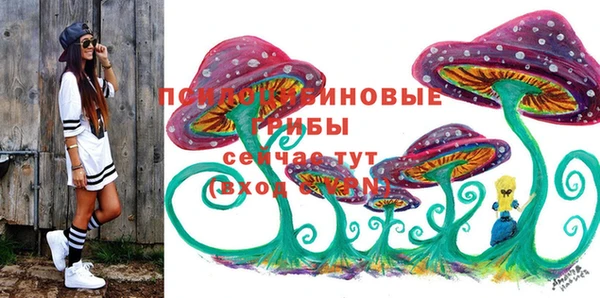 PSILOCYBIN Балахна