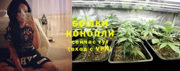 PSILOCYBIN Балахна
