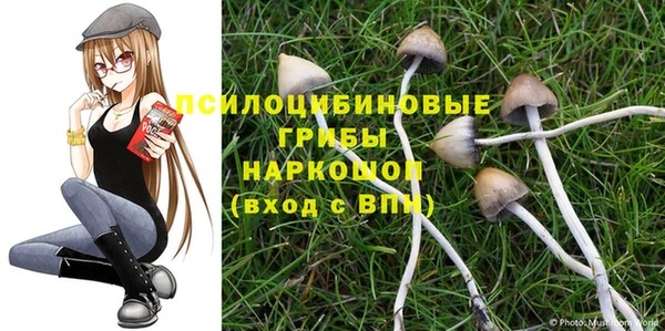 spice Семилуки