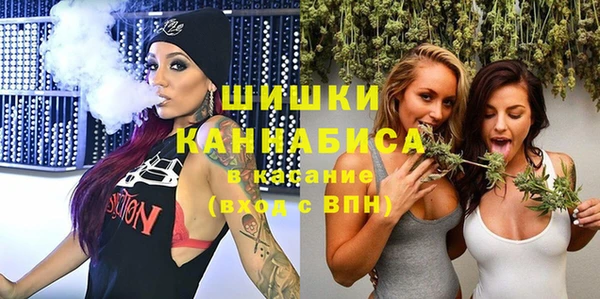 PSILOCYBIN Балахна