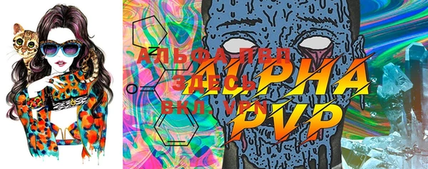 PSILOCYBIN Балабаново