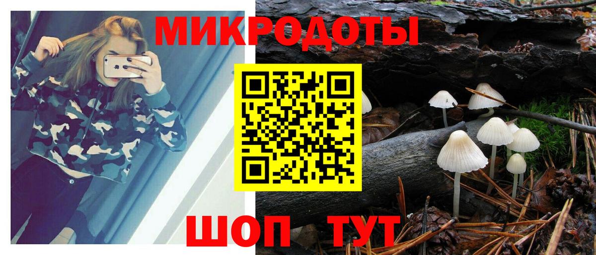 Псилоцибиновые грибы ЛСД Корсаков
