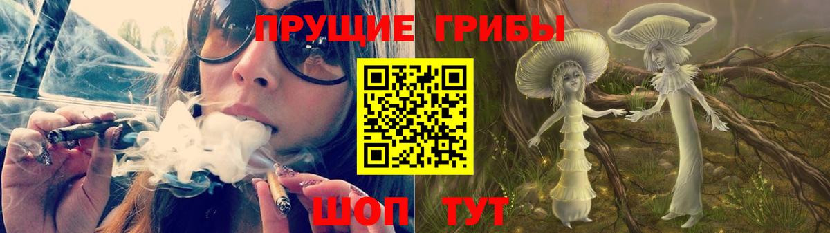 Корсаков  Галлюциногенные грибы мицелий  Вход с VPN  Галлюциногенные грибы Psilocybe 